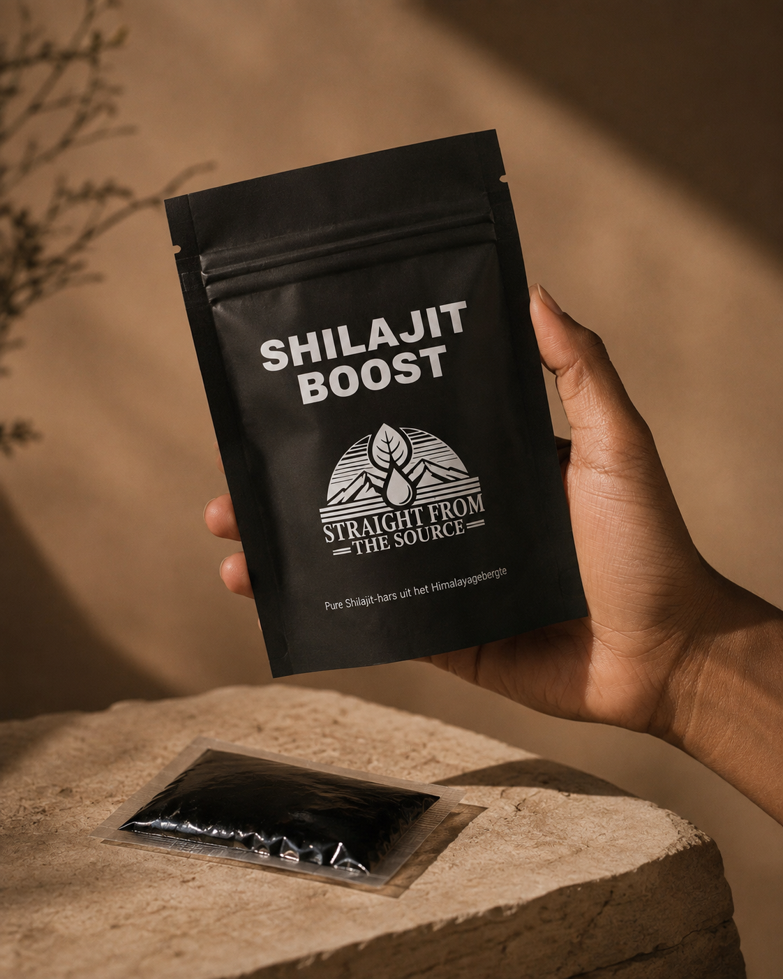 Shilajit-Harz