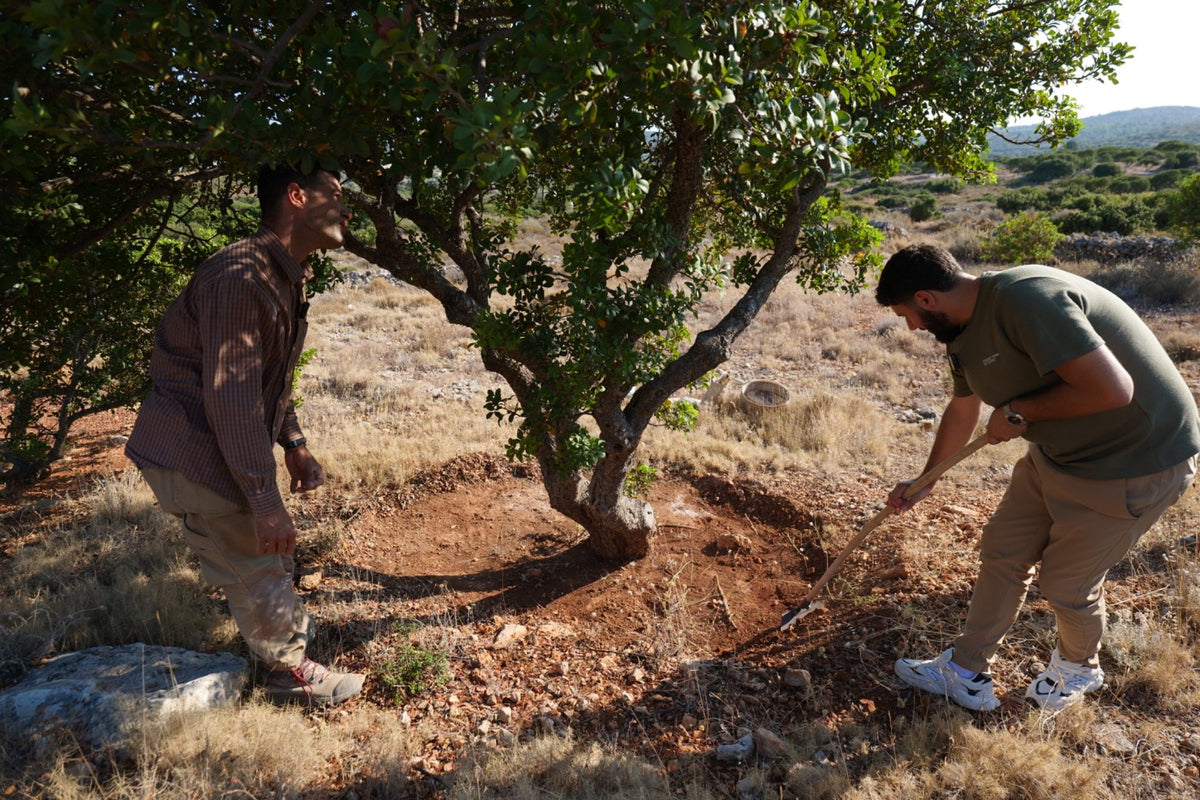 Straight From The Source bij de bron op Chios, samen met een lokale producent